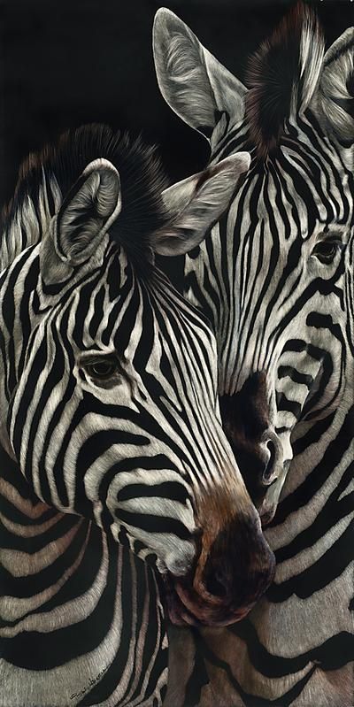 Why do zebras have stripes? Scientists have the answer