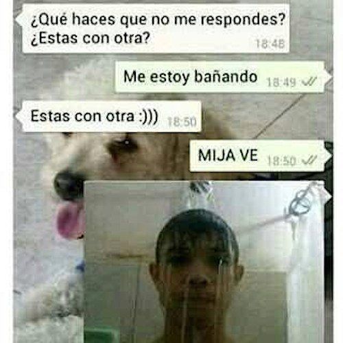 memes sobre los celos memes sobre los celos