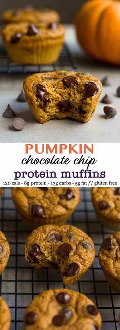 Pumpkin Chocolate Chip Protein Muffins