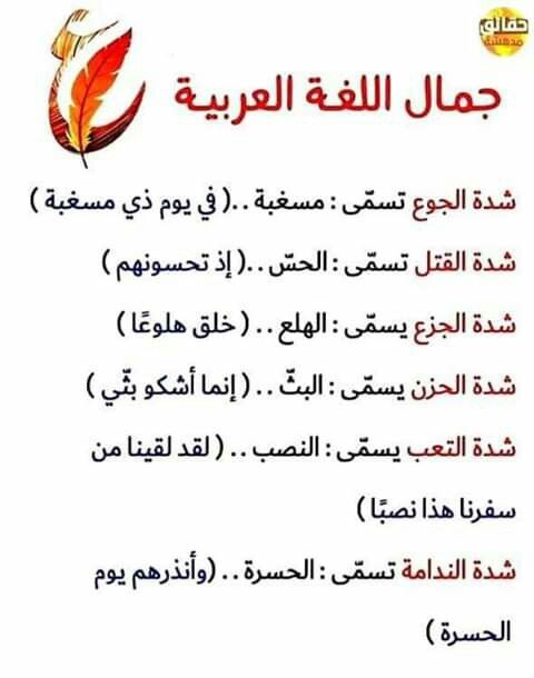 Pin By Amy On شعر عربي Arabic Poetry Arabic Poetry Words Arabic