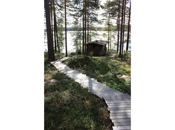 Kuntta eli siirtovarvikko on helppohoitoinen valinta mökkipihaan