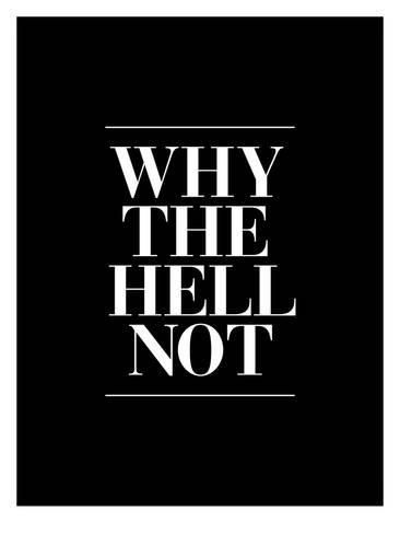 Giclee Print: Why The Hell Not by Brett Wilson : 24x18in