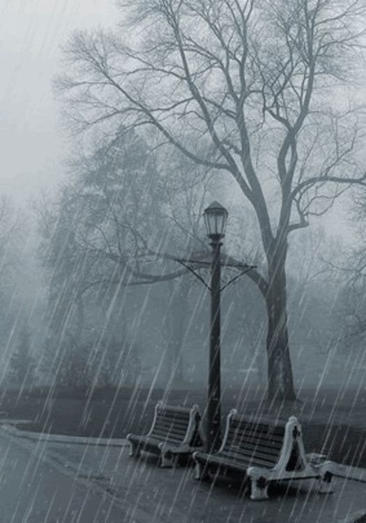 The 20 Most Beautiful Animated Rain Gifs