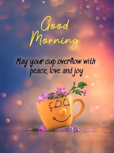 May your cup