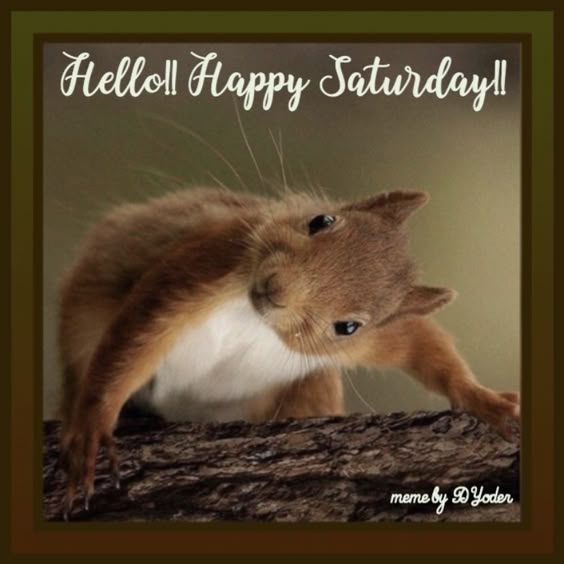 happy-saturday