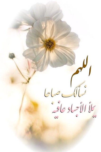 صور صباحيات - بطاقات صباح الخير 2020 -صباح الخير جميلة