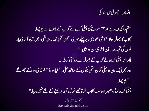 saysabr