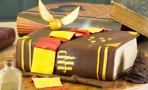 Quelques Idees Geniales Pour Un Anniversaire Harry Potter Ensorcelant Harry Potter Cake Harry Potter Food Harry Potter Cookbook Quelques Idees Geniales Pour Un Anniversaire Harry Potter Ensorcelant Harry Potter Cake Harry Potter Food Harry Potter Cookbook
