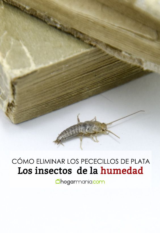 Pin En Hogar