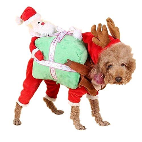 Costumes For Cats Doctor Harukokoro Tm Pet Christmas Costumes