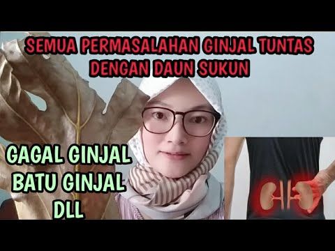 Pin Di Walatra Gamat Emas Kapsul Herbawalatra
