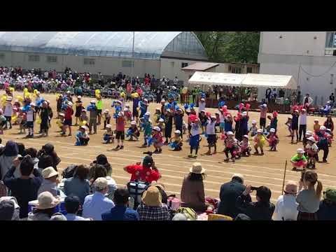 運動会でやってみよう Youtube 運動会 ダンス 運動会 小学校 運動会 運動会でやってみよう Youtube 運動会 ダンス 運動会 小学校 運動会