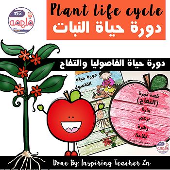 Plant Life Cycle Book كتيب قصة دورة حياة النباتات الفاصوليا والتفاح Plant Life Cycle Life Cycles Life Cycle Books