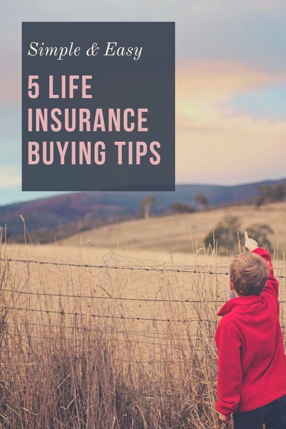 Home Insurance Insurance Nsight With Images Home And Auto
