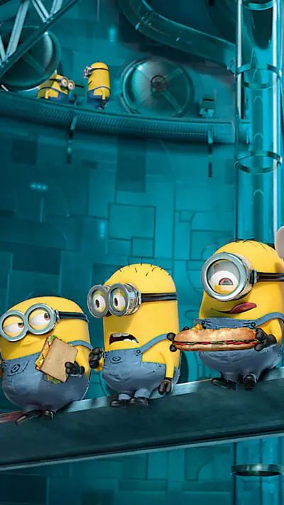 Minions Despicable Me Halloween Costume