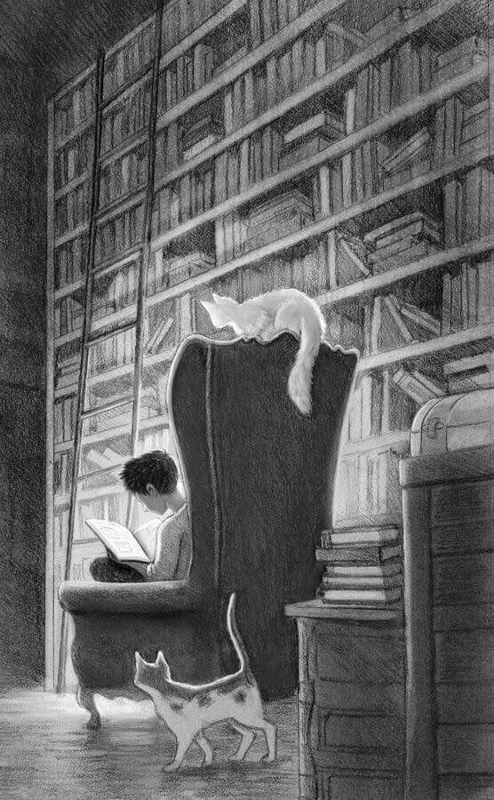 Giant Library #literature #books #reading #reader #art #drawing #illustration #booklovers #bookart #sofa #cat #librarylove #librarylovers