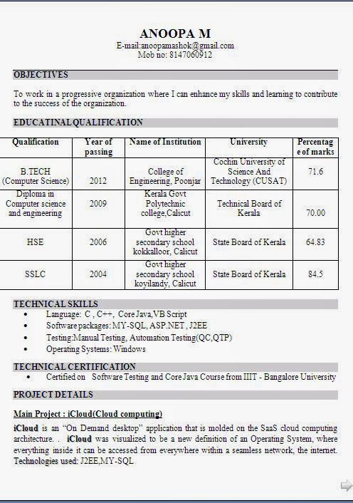 curriculum vitae of Beautiful Excellent Professional Curriculum - informatica administrator sample resume curriculum vitae of Beautiful Excellent Professional Curriculum - informatica administrator sample resume