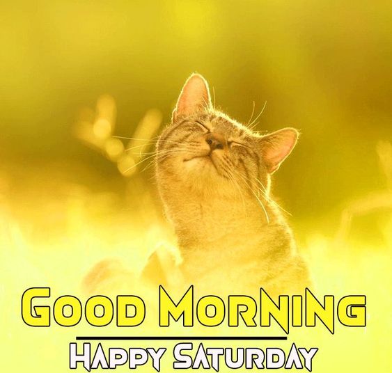 amazing Good Morning Happy Saturday images hd - PIX Trends