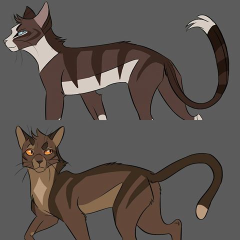 Pin On Warriors Cats Books