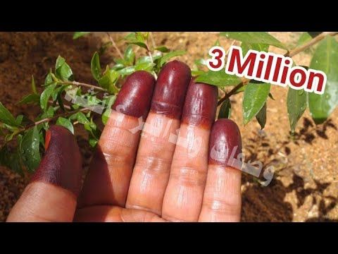 حنة احمر غامق في نصف ساعة فقط - YouTube