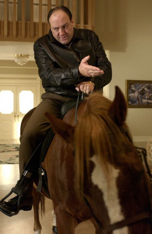 the sopranos new jersey mob boss, tony soprano, deals with 4037b3fb037606c8b68c57e1e6c9062d tony soprano new jersey the sopranos new jersey mob boss, tony soprano, deals with,Tony Soprano Memes