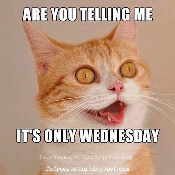 Are you telling it\'s only Wednesday, Happy Wednesday Meme.