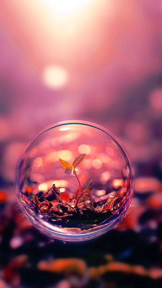 cute-dp-images