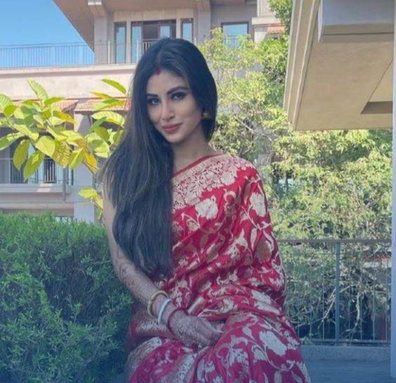 mouny-roy