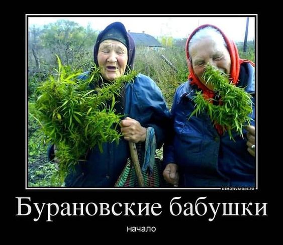 Прикольные Фото Для Настроения С Надписями Прикольные Фото Для Настроения С Надписями