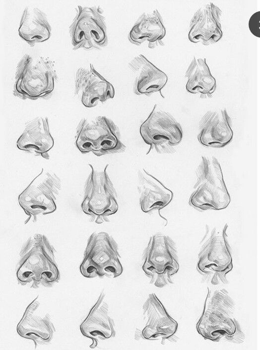 Pin De Hermeneutically Sealed En Drawings To Do Cómo Dibujar Una Nariz Dibujo De La Cara Dibujo Nariz