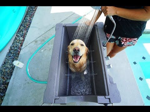 Puppy Loves His New Custom Dog Bath Super Cooper Sunday 157