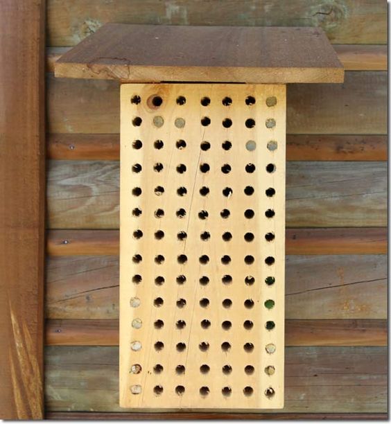Let’s Invite Leaf Cutter Bees into Our Gardens - The Permaculture Research Institute