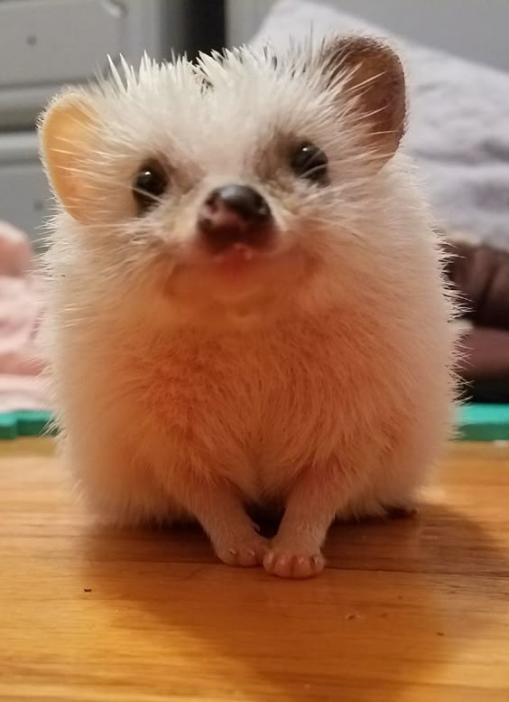 cheerful little facey-face !