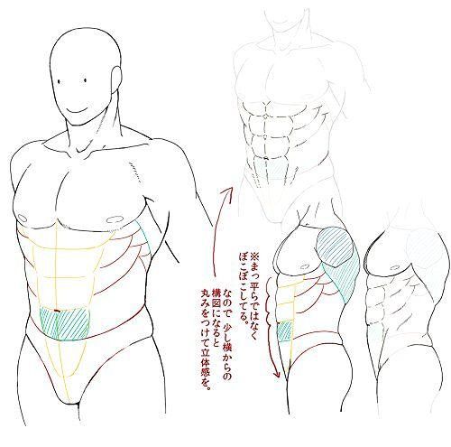 すぐに役立つ 筋肉の描き方 関崎淳 著 本 雑誌 Human Figure Drawing Figure Drawing Drawing Tutorial すぐに役立つ 筋肉の描き方 関崎淳 著 本 雑誌 Human Figure Drawing Figure Drawing Drawing Tutorial