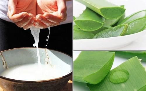 Nha đam và nước vo gạo cũng là một trong những sự kết hợp hoàn hảo giúp dưỡng tóc đẹp tự nhiên.