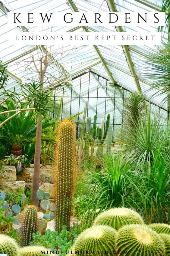 London\'s Kew Gardens are an oasis of blooming cherry blossoms and cacti-filled conservatories, the ultimate playground for natural lovers. This UNESCO world heritage site is where beauty meets a longstanding commitment to conservation and climate action. Click for more photos and tips! hidden places in London