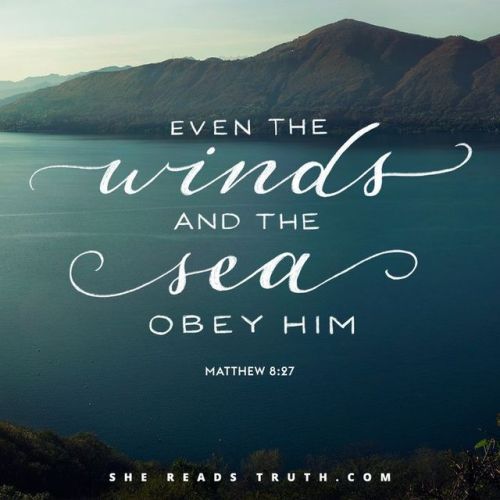 Matthew 6 24 Bible Verse For Today Book Of Matthew Bible