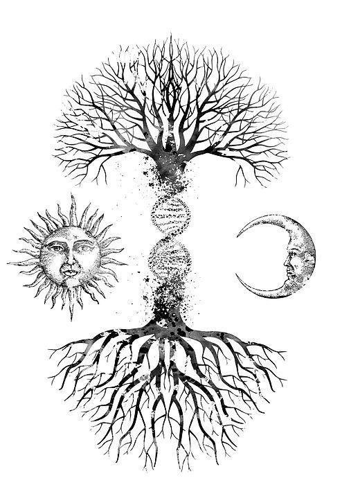 Dna Tree Biotechnology Tatuaje árbol De La Vida Dibujo De Arbol Tatuaje De árbol Para Hombres