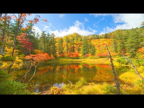 Jg8k Hdr 北海道 大雪高原の絶景紅葉 全沼一周トレッキング Hokkaido Daisetsu Kogen In Autumn Trekking All Lakes Youtube トレッキング 絶景 沼 Jg8k Hdr 北海道 大雪高原の絶景紅葉 全沼一周トレッキング Hokkaido Daisetsu Kogen In Autumn Trekking All Lakes Youtube トレッキング 絶景 沼