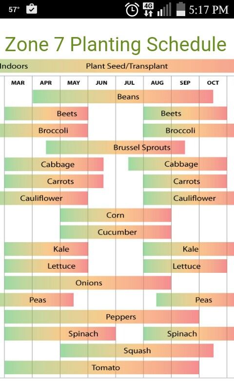 Zone 7 Planting Schedule Calendar Vegetable Fall Garden Vegetables Planting Calendar Vegetable, When To Plant Fall Garden Zone 7