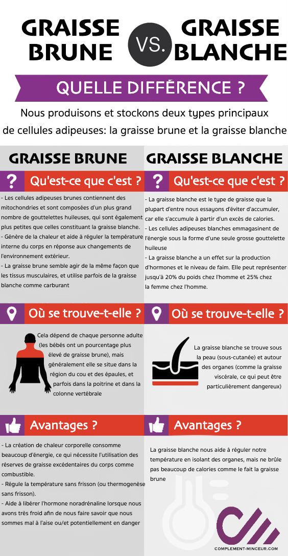 régulation de la température du corps de perte de poids régulation de la température du corps de perte de poids