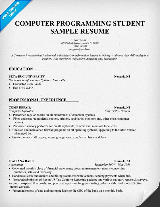 Resume Sample Computer Programming Student (http\/\/resumecompanion - progress programmer sample resume Resume Sample Computer Programming Student (http\/\/resumecompanion - progress programmer sample resume
