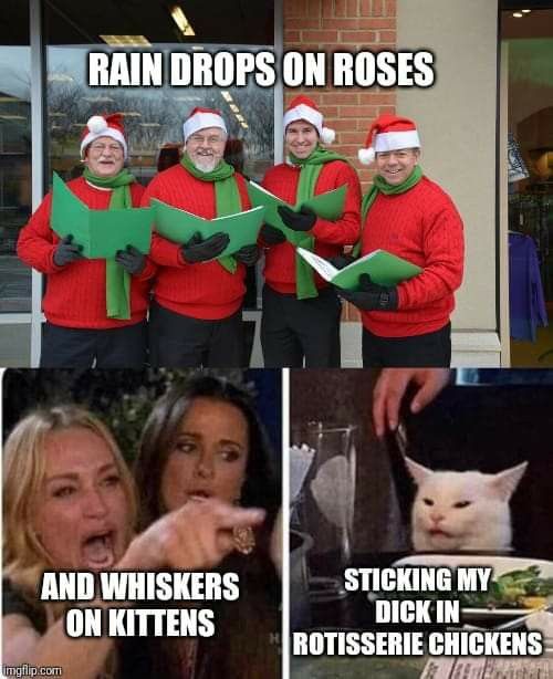 Raindrops On Roses And Whiskers On Kittens Anne Of Green Gables