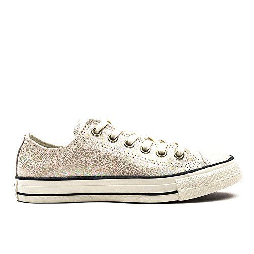 Converse All Star Ox Mujer Zapatillas Natural: Amazon.es: Zapatos ... خلية حيوانية Converse All Star Ox Mujer Zapatillas Natural: Amazon.es: Zapatos ... خلية حيوانية