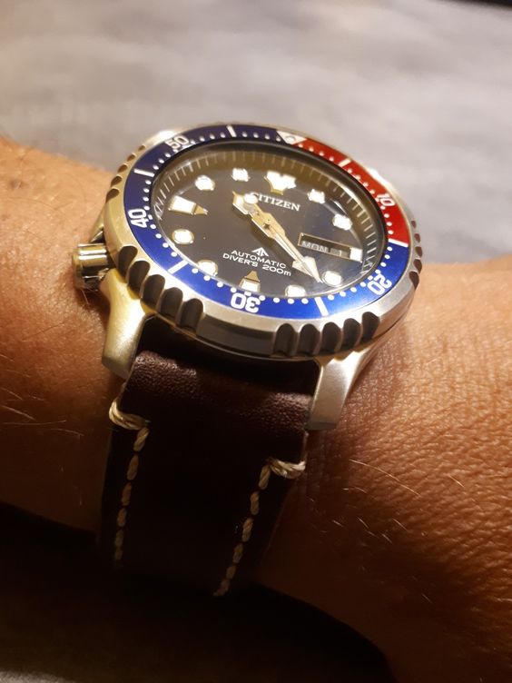 Citizen Promaster