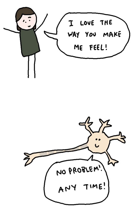 I love my neurons and neurotransmitters. Most of the time. <3
