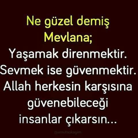 Mevlana Insan Ile Ilgili Sozleri Cool Words Inspirational Quotes Quotes
