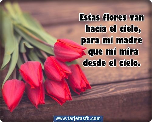 Pin En Amor