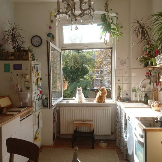 photo Retro Aesthetic Apartment Kitchen floating free home cozy house sweet