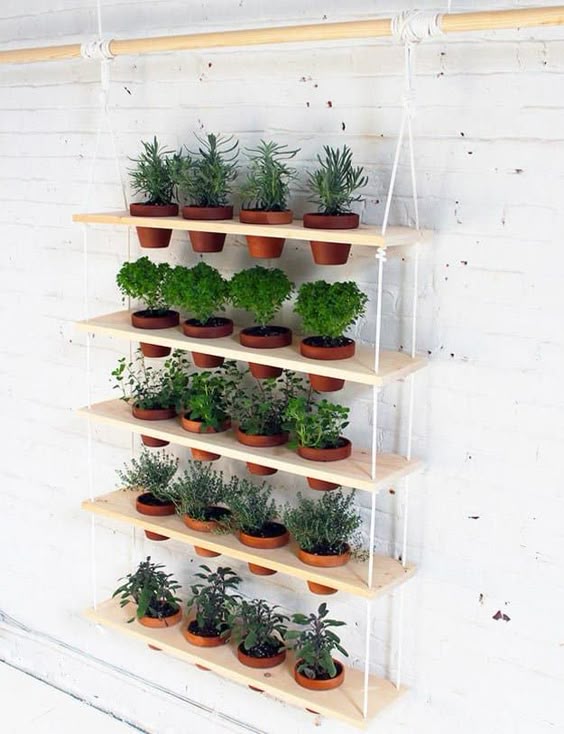 hanging shelves near the white wall #gardenIdeas #garden #gardening #plants #homeDecor #indoor #shelves